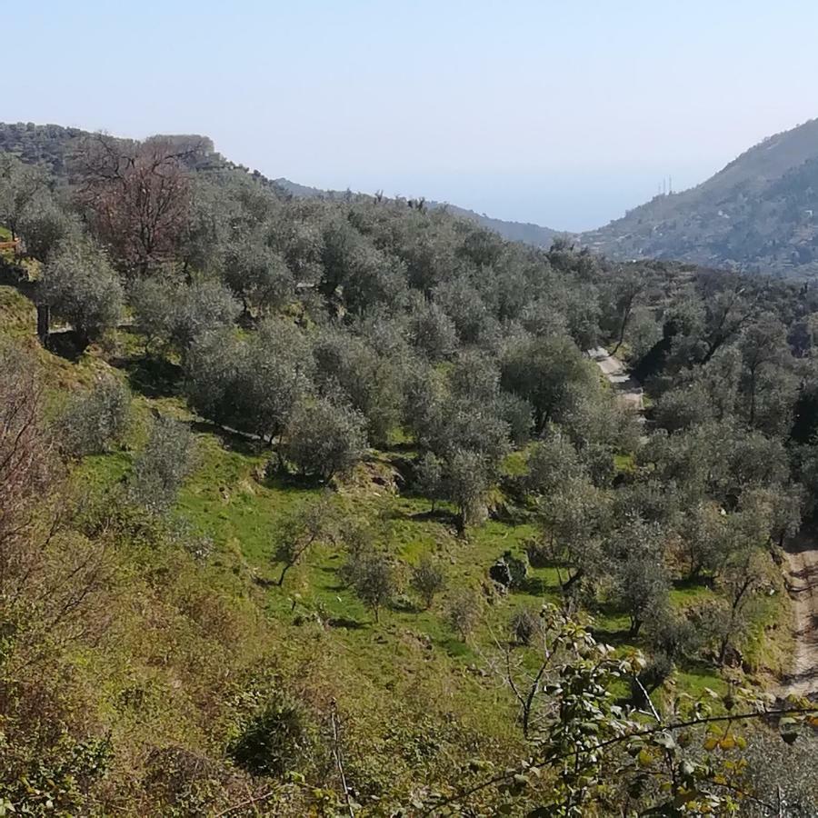 شقة Ceriana  في Casa Margherita المظهر الخارجي الصورة